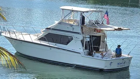 The Magic docked in Key West with a palm frond in the foreground