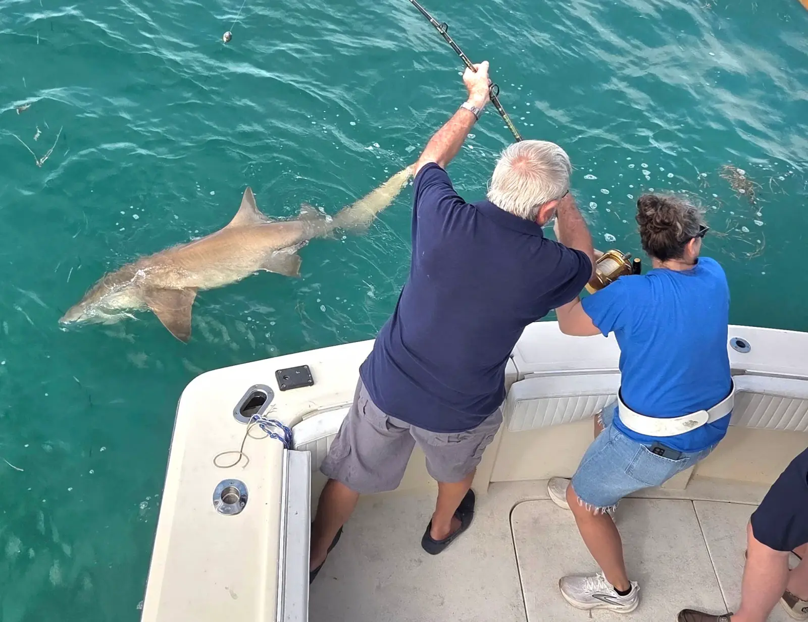Two anglers reeling in a shark near Key West
